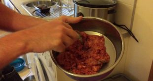 How to feed raw dog food safely