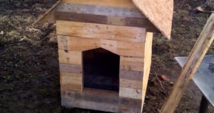 How to make a doghouse with pallets