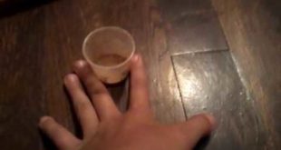 How to make American girl Doll Dog food