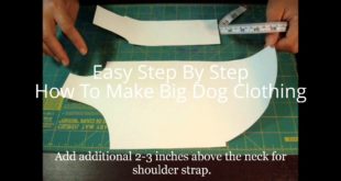 How To Make Big Dog Clothing