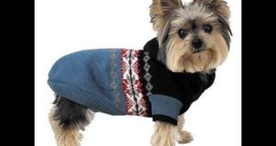 How To Make / Create: Your Own Dog Clothes / T Shirt Pattern