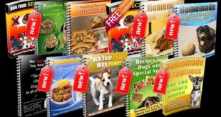 How to Make Homemade Dog Food – Dog Food Secrets You Don’t Know