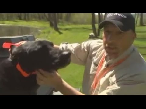 How to Properly Place & Fit Your Dog’s E-Collar – Pheasant Forever TV Training Tips | Dogtra