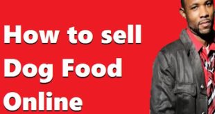 How to sell Dog Food Online
