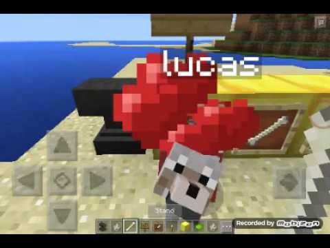 How to tame name & dye a wolf or dog’s collar mcpe