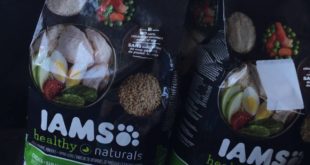 Iams Dog Food Deal at Target – buy one get 3 bags free!!!