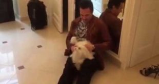 Jeff Zisselman shares why people get dogs