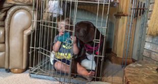 Jonathan’s in the Dog House