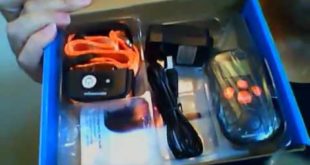 K9konnection 330 Yards Rechargeable & Waterproof Dog Training Collar Reviews