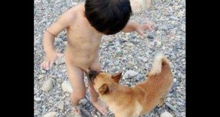 Kids And Best Funniest Dog Videos – Compilation 2016