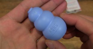 KONG Puppy X-Small Small Chew Toy