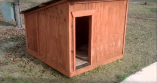 Kühle Pallet Dog House DIY