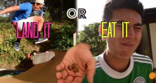 LAND IT OR EAT IT – dog food + moldy peach