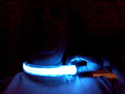 #Led Dog Collar light up Collar #Pets @Jgreenhood