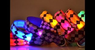 LED Dog Collar Video