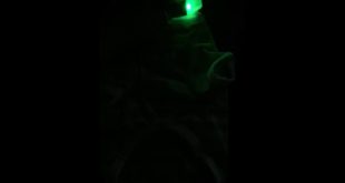 LED glowing dog clothes Polo shirt