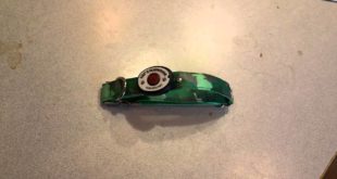 Lily’s Playhouse LED Lightup Dog Collar