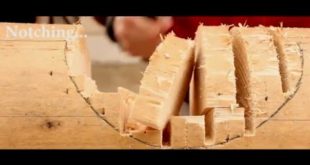 Log Dog house – process