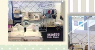 Luxury Dog Clothes and Accessories – Pampering Your Pets for Function and Fashion