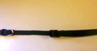 Majestic Pet Dog Collar review by Ruby Roark