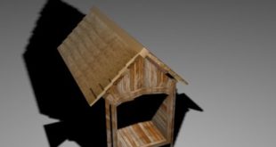 Making Dog house