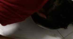 Man eats dog food