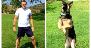 MAN vs DOG | The Food Catch Challenge