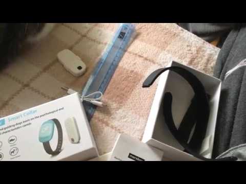 Marsboy Smart Dog Training Collar Review, Vibrates and Beeps