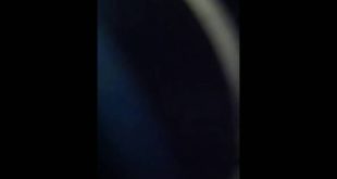 Me and my dog and house /v#4