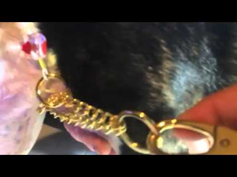 MegiPet Rose Dog Collar & Leash Set