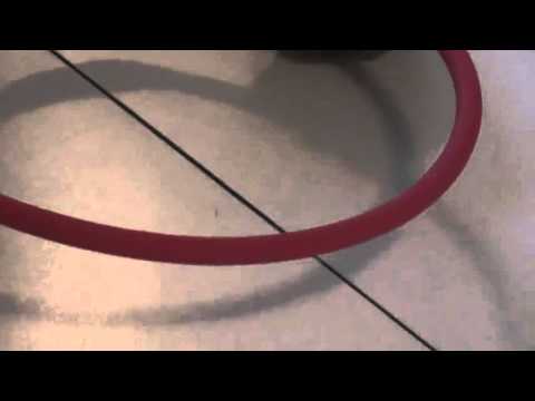 Megipet USB Rechargeable Waterproof Safety Pet Dog Collar Light Review