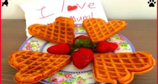 MOTHERS DAY DOG WAFFLES CELEBRATION TANDEM TREATS DIY Dog Food by Cooking For Dogs