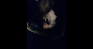 My baby sister eating dog food