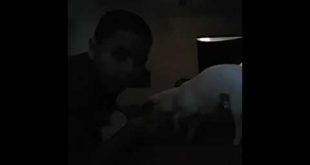My cousins dog us eating food off my head