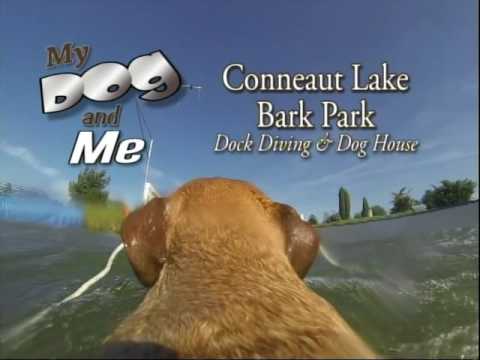 My Dog & Me: Dock Diving/Dog House