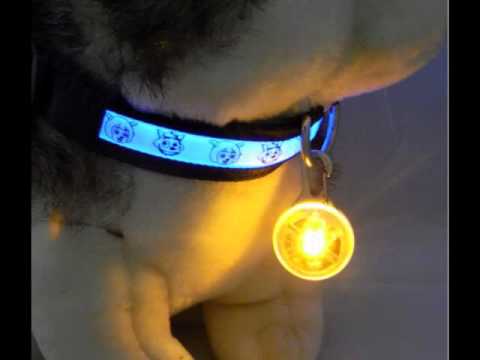 New Chic Nylon Pet Cat dog Puppy LED Flashing Dog Collar Safety Night Light Pendant Collars