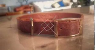 New Take on the Classic Dog Collar by Cuoro Leather™