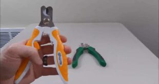 Nice Clippers for Small to Medium Sized Dogs