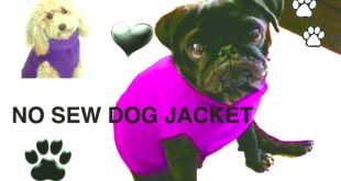 NO SEW DOG JACKET – DIY Dog clothes – a tutorial by Cooking For Dogs