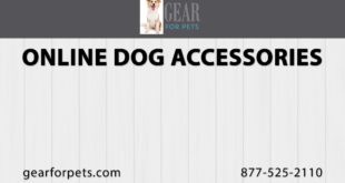 Online Dog Accessories | Gear for Pets