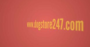 Online Dog Boutique | Online Dog Shop – WWW