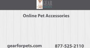 Online Pet Accessories | Gear for Pets