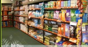 Online Shop For Dog Food in Delhi