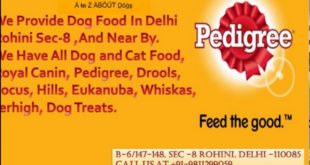 Online Store For Dog Food in Delhi