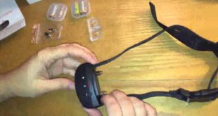 Oternal® Advanced Electronic Anti Bark Dog Collar Review, So much safer and more humane than a shock