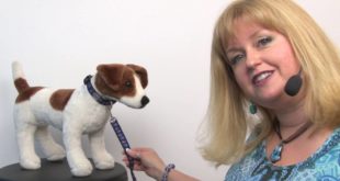 Patriotic Paws Dog Leash by RC Pet – Navy