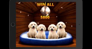PAWPALOOZA Video Slot Game with a DOG HOUSE BONUS