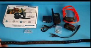Pedy Waterproof and Rechargeable 330 Yards Remote Dog Shock Training Collar for 2 Dogs