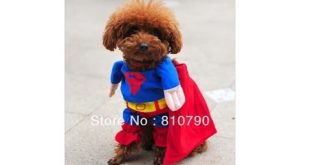 Pet Dog Puppy Cotton Superman Clothes , Halloween Apparel Costumes Outfit Suit Cat Dog Clothing