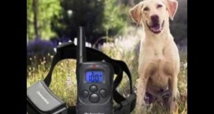 Petronics 330 Yards Rechargeable Shock Training Collar with Remote, Electronic Dog Training